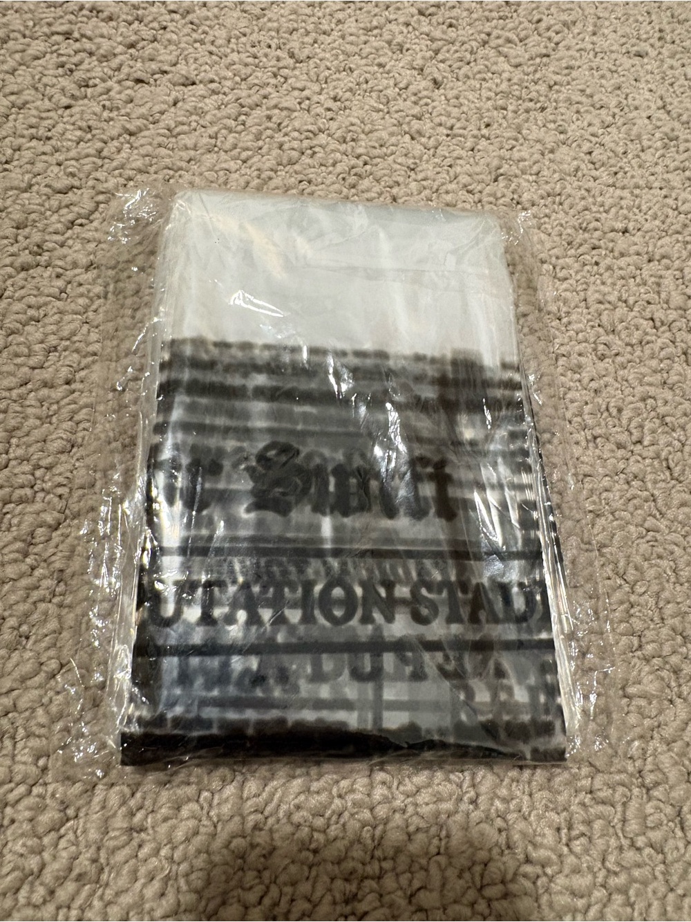 Taylor Swift Reputation Stadium Tour Rain Poncho